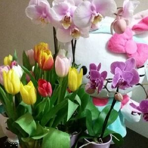 Meet your Posher, Helen